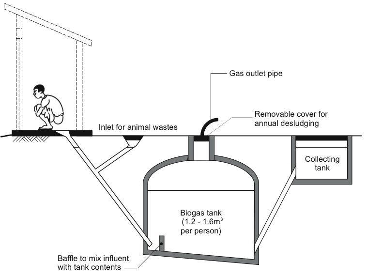 Business plan biomass power plant pdf